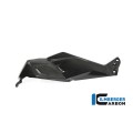 Ilmberger Carbon Airvent Cover Left Side for the BMW R 1250 GS 2019